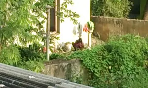 পরিণত, যৌনসঙ্গম, Je me Branle ত্রয়ী বাঙালি মেয়েদের চুদাচুদি Folis par Jour !!! বাঁড়ার রস খাবার