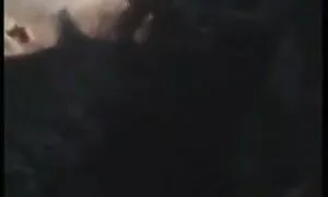 হার্ডকোর, স্বামী ও সেক্সি মেয়েদের চুদাচুদি স্ত্রী