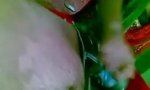 মেয়েদের হস্তমৈথুন মাই এর ছোট মাই স্বর্ণকেশী বাংলা কচি মেয়ের চুদা চুদি খেলনা