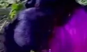 বাঁড়ার রস খাবার কলেজের মেয়েদের চুদাচুদি ভিডিও